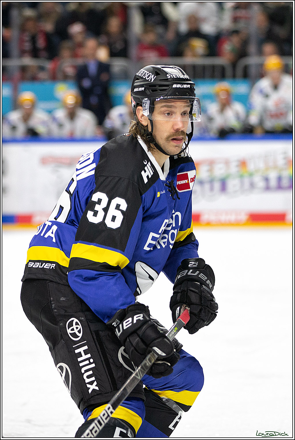 PENNY DEL; Koelner Haie- Fishtown Pinguins Bremerhaven; Koeln, 23.11.2021